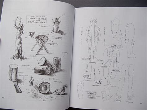atlas of human anatomy for the artist galaxy books by