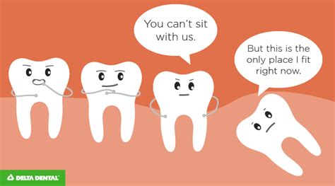 the best dental jokes dental memes to tickle your funny bone