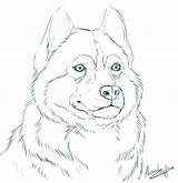 Coloring Husky Pages Siberian Comments sketch template