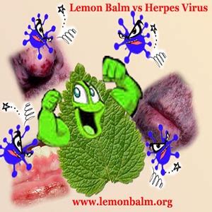 herpes treatment advances herpes treatment quick natural remedies