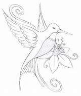 Hummingbird Hummingbirds Dessin 1260 Lilies sketch template