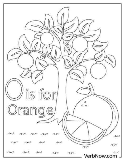 orange coloring pages book   printable  verbnow