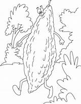 Gourd Bitter Coloring Pages Drawing Walking Getdrawings sketch template