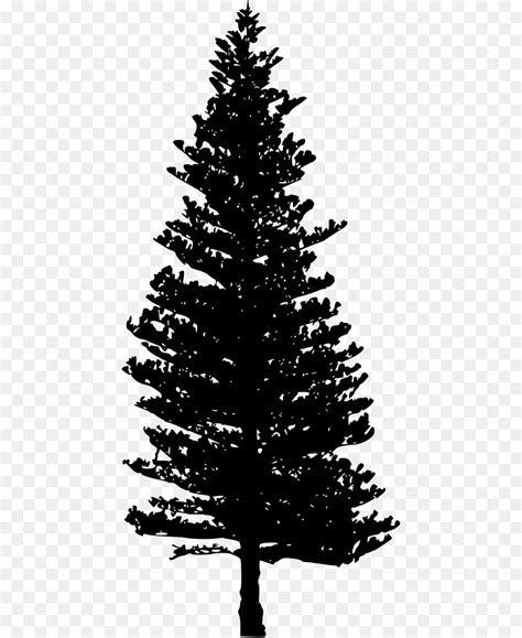 douglas fir tree silhouette   douglas fir tree silhouette png images