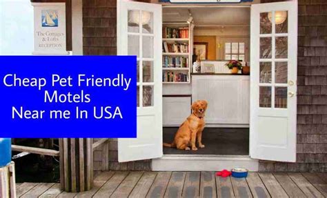 cheap pet friendly motels   book  pay