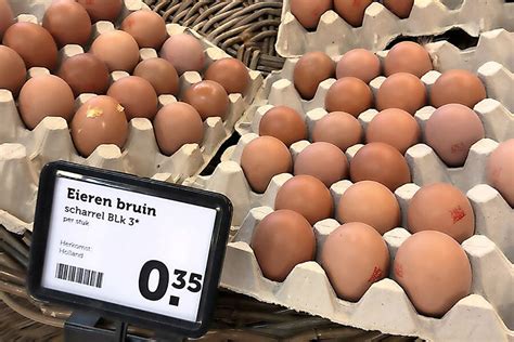 coop haalt verkeerd gestempelde eieren terug boerderij