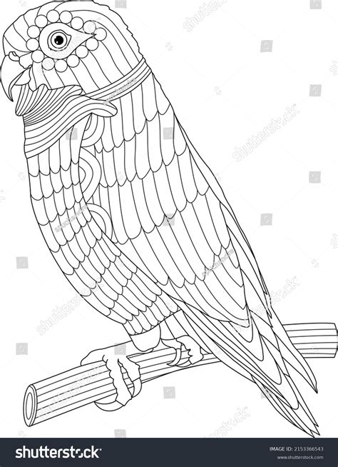 coloring pages cute  tropical parrot stock vector royalty