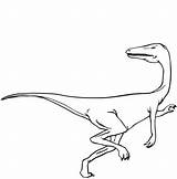 Velociraptor Coloring Pages Featherless Printable Drawing Dot sketch template