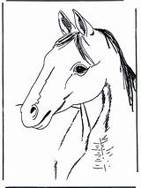 Pferde Malvorlagen Cavallo Caballo Paarden Caballos Coloring Colorare Cavalli Disegni Fargelegg Dieren Pferd Pubblicità Hester Anzeige Advertentie Annonse sketch template