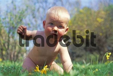 naked baby boy crawling smiling front view portrait high  xxx hot girl