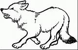Wolf Coloring Gray Mexican 2306 67kb Drawings sketch template