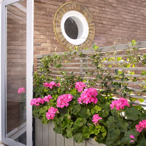 balcony garden ideas transform tiny spaces  mini horticultural havens