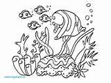 Plants Sea Coloring Pages Drawing Getdrawings sketch template