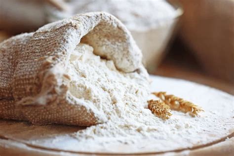 wheat flour  worlds favorite flour