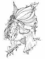 Coloring Pages Fairy Fairies Adult Vintage Book Books sketch template