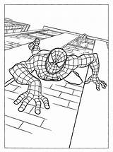 Spiderman Superhero Picgifs sketch template