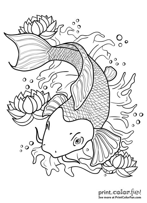 koi fish colors fish coloring page koi fish drawing