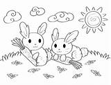 Museprintables Rabbit sketch template
