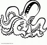 Coloring Pages Octopus Printable Animal Color Kids Clipart Print Sheet sketch template