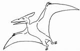Pteranodon Pterodactyl Dinosaurs Spread Coloringsun Stitching Kids Drawings sketch template