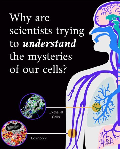 mysteries  human cells  questions answered czi blog