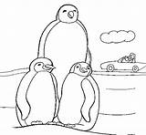 Penguin Family Coloring Coloringcrew sketch template