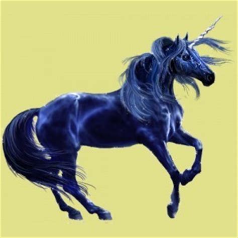 blue unicorns fan art  fanpop