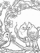 Coloring Pages Nature Color Template Bird Templates Castell Faber Birds Adults Creative Books Blossoms Inspired Studio Adult Mixing sketch template