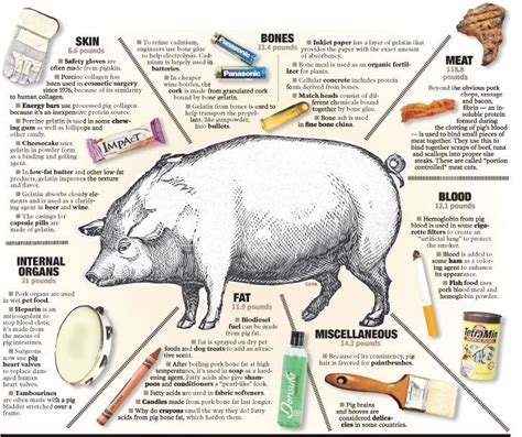 pig chart pig  bookjpg  pixels pig pig facts pig farming