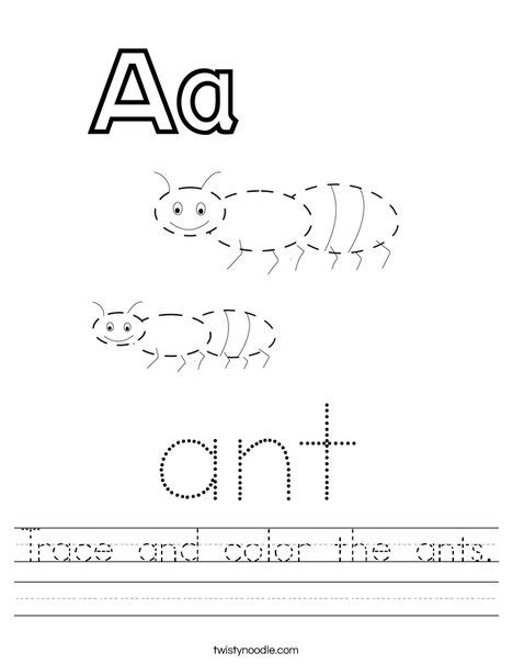 ant worksheet  template  premium