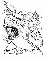 Megalodon Sharks Tiburones Colorear Leopard Usable Filminspector Print Bestcoloringpagesforkids sketch template
