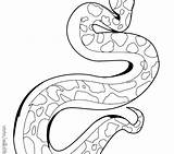 Snake Coloring Pages Python Scary Drawing Rattlesnake Kids Garter Diamondback Color Snakes Ball Western Printable Getdrawings Getcolorings Print Clipartmag Rattle sketch template