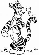 Coloring Tiger Cartoon Pages Popular sketch template