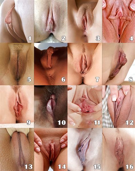 teen sex choose your favorite pussy comment