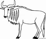 Wildebeest Coloring sketch template