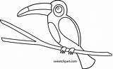 Toucan Coloring Clip Cute Pages Template Sweetclipart sketch template