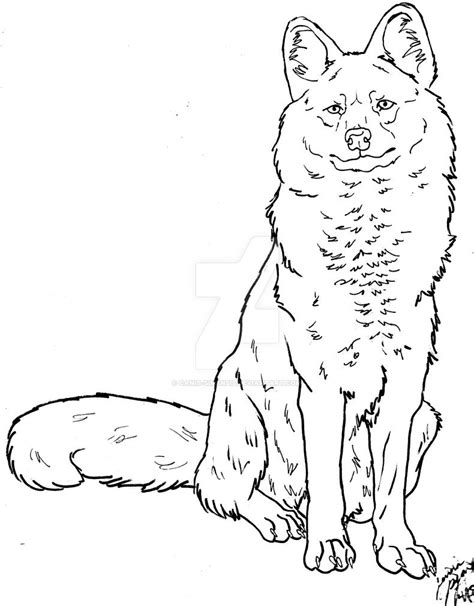 dhole lineart  canis simensis  deviantart