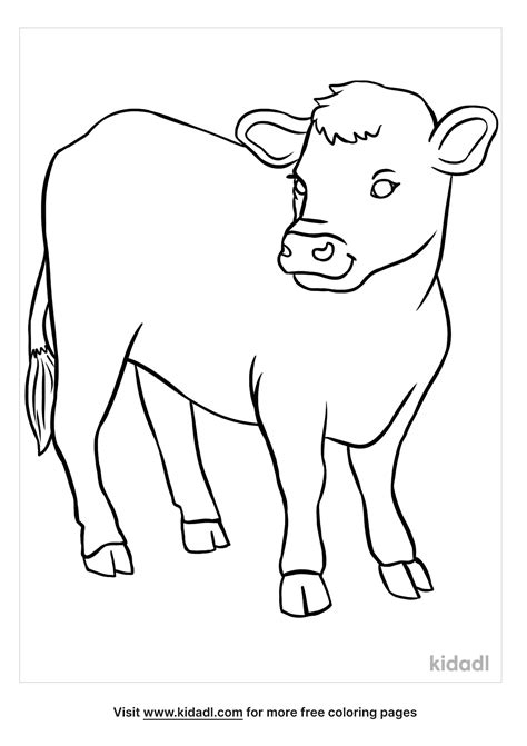 calf coloring page coloring page printables kidadl
