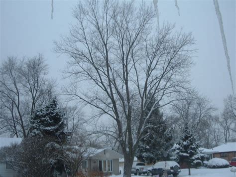 willow springs il winter scene on mound st febryary 23 2007 photo picture image