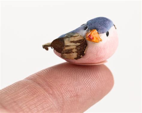 assorted micro miniature mushroom birds birds butterflies basic craft supplies craft