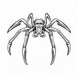 Halloween Spider Coloring Pages Printable Spiders Template Printablee Via sketch template