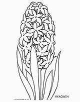 Hyacinth Trace Malvorlagen Ausmalen Ausmalbilder Crocus Zeichnen Drawing Colouring Munk Brod 1951 Platt Fritzi Coloringhome Blumen Qisforquilter sketch template