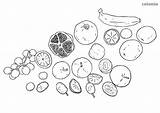 Banana Grapes Bananas Coloring Kiwis Apples Pages Print Printable sketch template