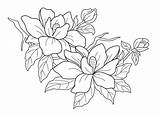 Coloring Crocus Color Pages Flower Flowers Printable Spring Getcolorings sketch template