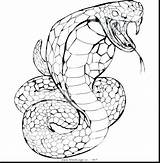 Coloring Pages Snake Rattlesnake Color Realistic Diamondback Viper Sea Getcolorings Template Getdrawings Printable Colorings Python Ball Sheets sketch template
