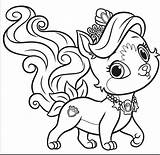 Eule Ausmalbilder Malen Malvorlage Erwachsene Super Unicorns Zahlen Eulen Bunt Okanaganchild Inspirierend Ausmalbild Beste Source Pinnwand Auswählen Puppy sketch template