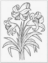 Coloring Spring Pages Flower Printable Comments Realistic sketch template
