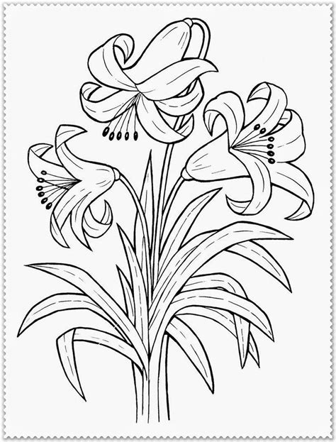 detailed realistic flower coloring pages