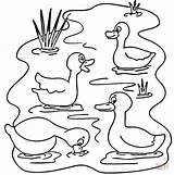 Estanque Colorear Ducks Stagno Canard Animali Itik Estanques Lac Dello Vilain Mewarna Frog Disegno Colouring Ausmalbild Koleksi Indah Coloriages Kleurplaten sketch template