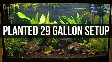 planted  gallon setup youtube